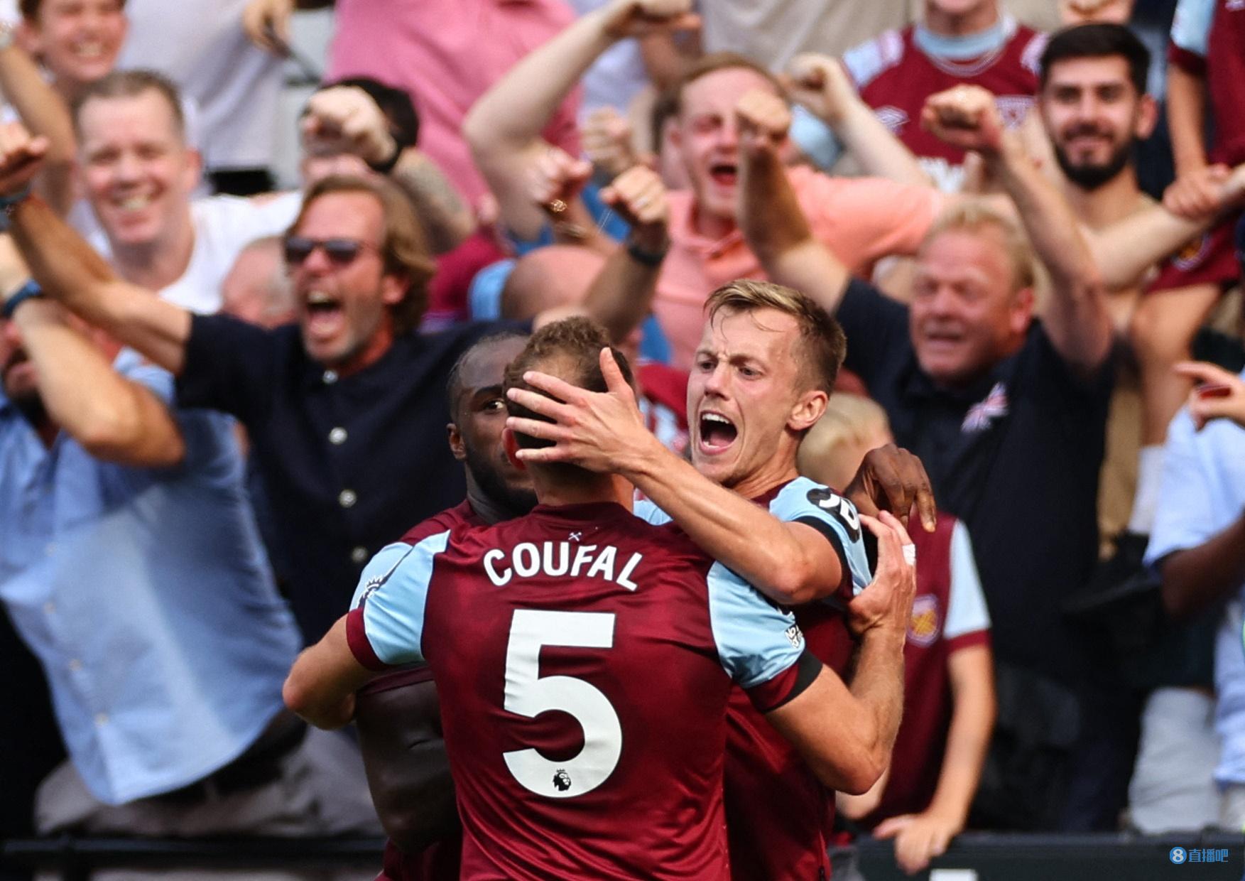 象屡见不鲜 象屡见不鲜